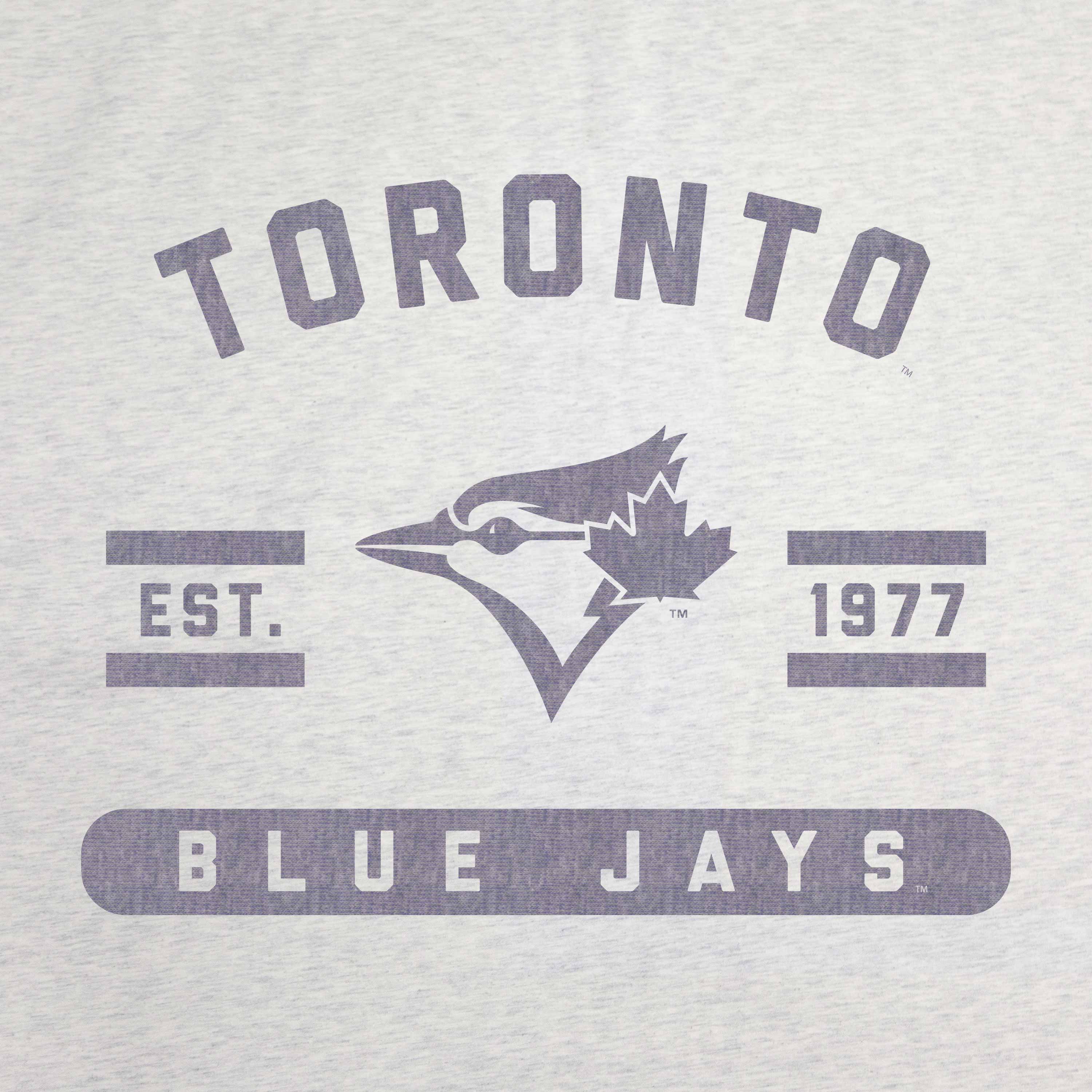 Toronto Blue Jays Oatmeal Sweatshirt Blanket - Sports Gifts, Sports Memorabilia, Sports Collectibles, Fan Shop