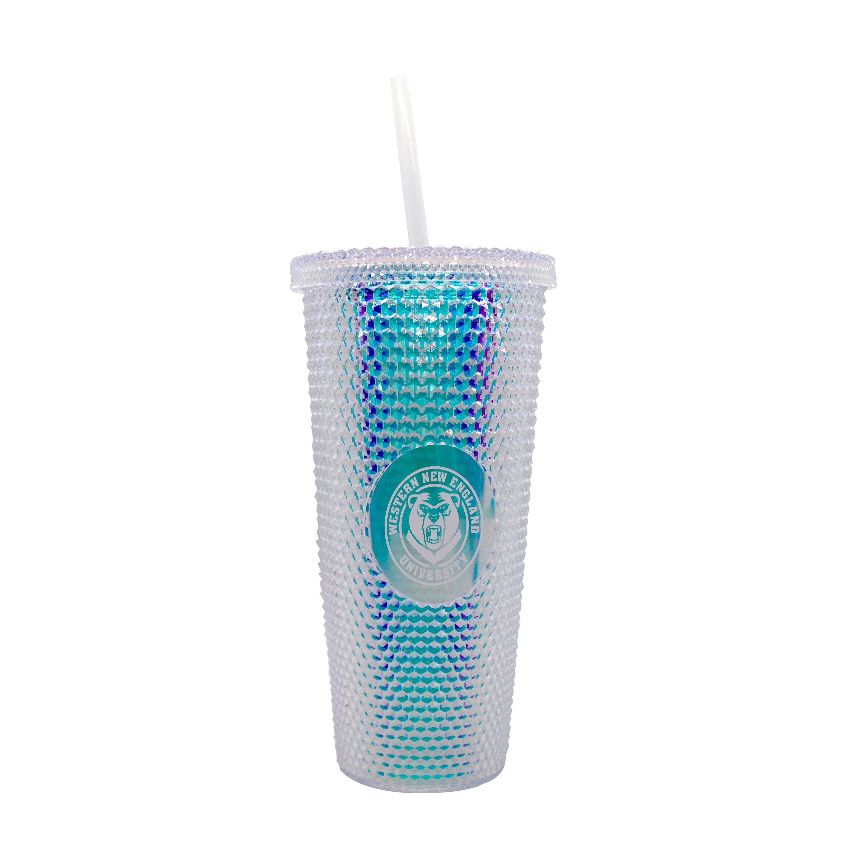 Western New England 24oz Iridescent Studded Tumbler