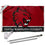 College Flags & Banners Co. Central Washington Wildcats 3x5 Flag and Pole Bracket Mount Bundle - Sports Collectibles, Sports Memorabilia, Sports Fan Shop, Sports Gifts
