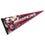 WinCraft Arizona Cardinals Hopkins Pennant Banner Flag - Sports Collectibles, Sports Memorabilia, Sports Fan Shop, Sports Gifts