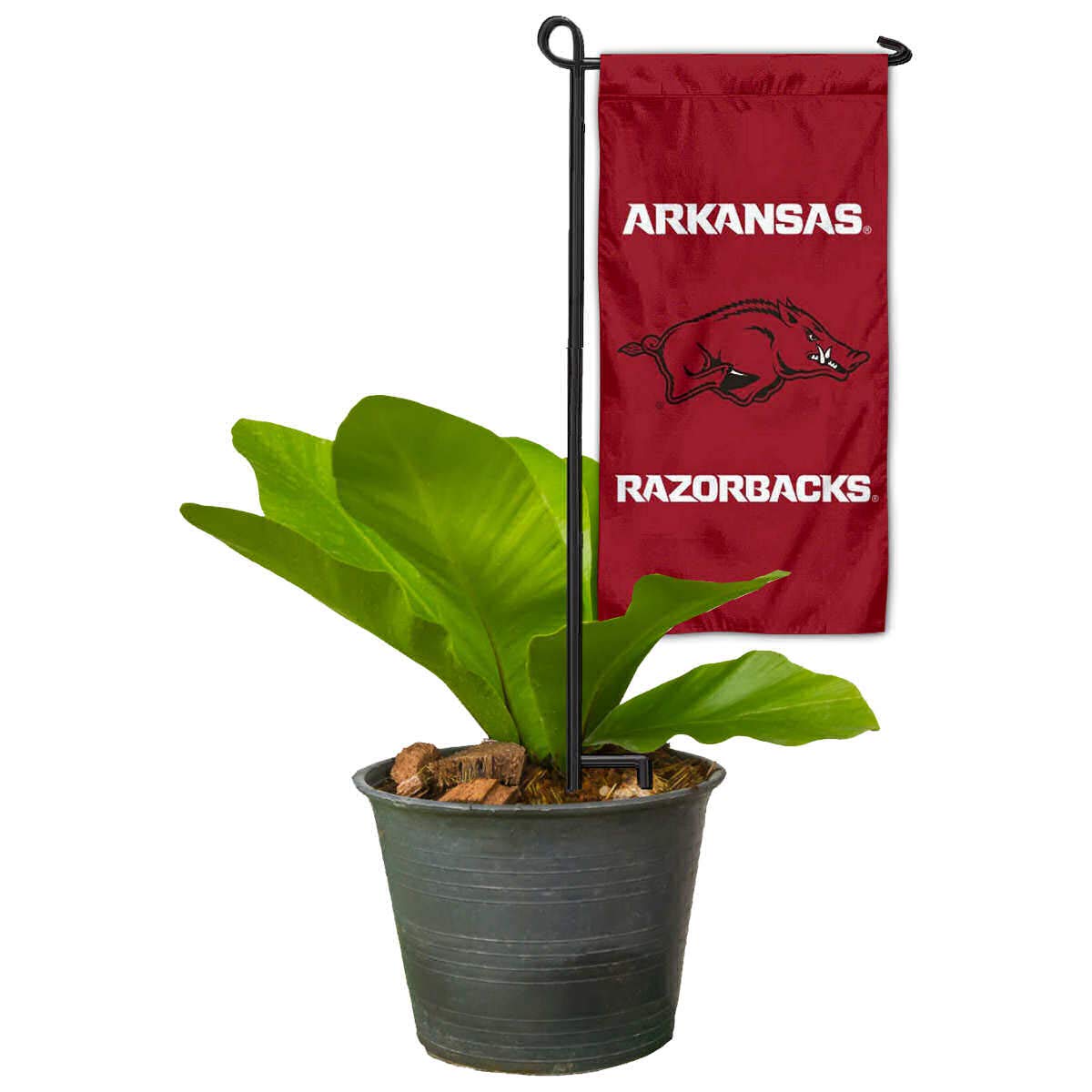 College Flags & Banners Co. Arkansas Razorbacks Mini Garden and Flower Pot Flag Topper - Sports Collectibles, Sports Memorabilia, Sports Fan Shop, Sports Gifts