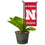 College Flags & Banners Co. Nebraska Cornhuskers Mini Garden and Flower Pot Flag Topper - Sports Collectibles, Sports Memorabilia, Sports Fan Shop, Sports Gifts