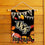 College Flags & Banners Co. Central Florida Knights Fall Leaves Football Season Garden Yard Flag - Sports Collectibles, Sports Memorabilia, Sports Fan Shop, Sports Gifts