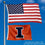 College Flags & Banners Co. Illinois Fighting Illini Small 2x3 Foot Flag - Sports Collectibles, Sports Memorabilia, Sports Fan Shop, Sports Gifts
