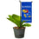College Flags & Banners Co. Kansas Jayhawks Mini Garden and Flower Pot Flag Topper - Sports Collectibles, Sports Memorabilia, Sports Fan Shop, Sports Gifts