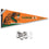 College Flags & Banners Co. Florida A&M Rattlers Pennant Flag and Wall Tack Mount Pads - Sports Gifts, Sports Memorabilia, Sports Collectibles, Fan Shop