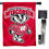 University of Wisconsin House Flag with Flag Pole Set - Sports Collectibles, Sports Memorabilia, Sports Fan Shop, Sports Gifts