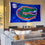 College Flags & Banners Co. Florida Gators SEC Banner and Tapestry Wall Tack Pads - Sports Collectibles, Sports Memorabilia, Sports Fan Shop, Sports Gifts