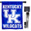 College Flags & Banners Co. Kentucky UK Wildcats New Logo House Flag with Flag Pole Set - Sports Collectibles, Sports Memorabilia, Sports Fan Shop, Sports Gifts