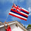 Sports Flags Pennants Company State of Hawaii Flag 3x5 Foot Banner - Sports Collectibles, Sports Memorabilia, Sports Fan Shop, Sports Gifts