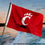 College Flags & Banners Co. Cincinnati Bearcats Small 2x3 Foot Flag - Sports Collectibles, Sports Memorabilia, Sports Fan Shop, Sports Gifts