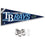 Tampa Bay Rays Pennant Banner and Wall Tack Pads - Sports Collectibles, Sports Memorabilia, Sports Fan Shop, Sports Gifts