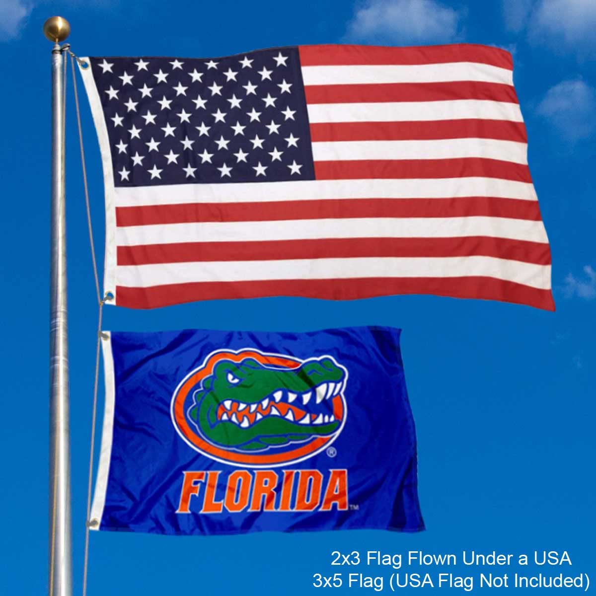 College Flags & Banners Co. Florida Gators 2x3 Foot Flag - Sports Collectibles, Sports Memorabilia, Sports Fan Shop, Sports Gifts