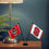 North Carolina State Wolfpack Desk and Table Top Flags - Sports Collectibles, Sports Memorabilia, Sports Fan Shop, Sports Gifts