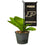 College Flags & Banners Co. Purdue Boilermakers Mini Garden and Flower Pot Flag Topper - Sports Collectibles, Sports Memorabilia, Sports Fan Shop, Sports Gifts