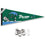 College Flags & Banners Co. Tulane Green Wave Pennant Flag and Wall Tack Mount Pads - Sports Collectibles, Sports Memorabilia, Sports Fan Shop, Sports Gifts