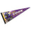 WinCraft Minnesota Vikings Cook Pennant Banner Flag - Sports Collectibles, Sports Memorabilia, Sports Fan Shop, Sports Gifts