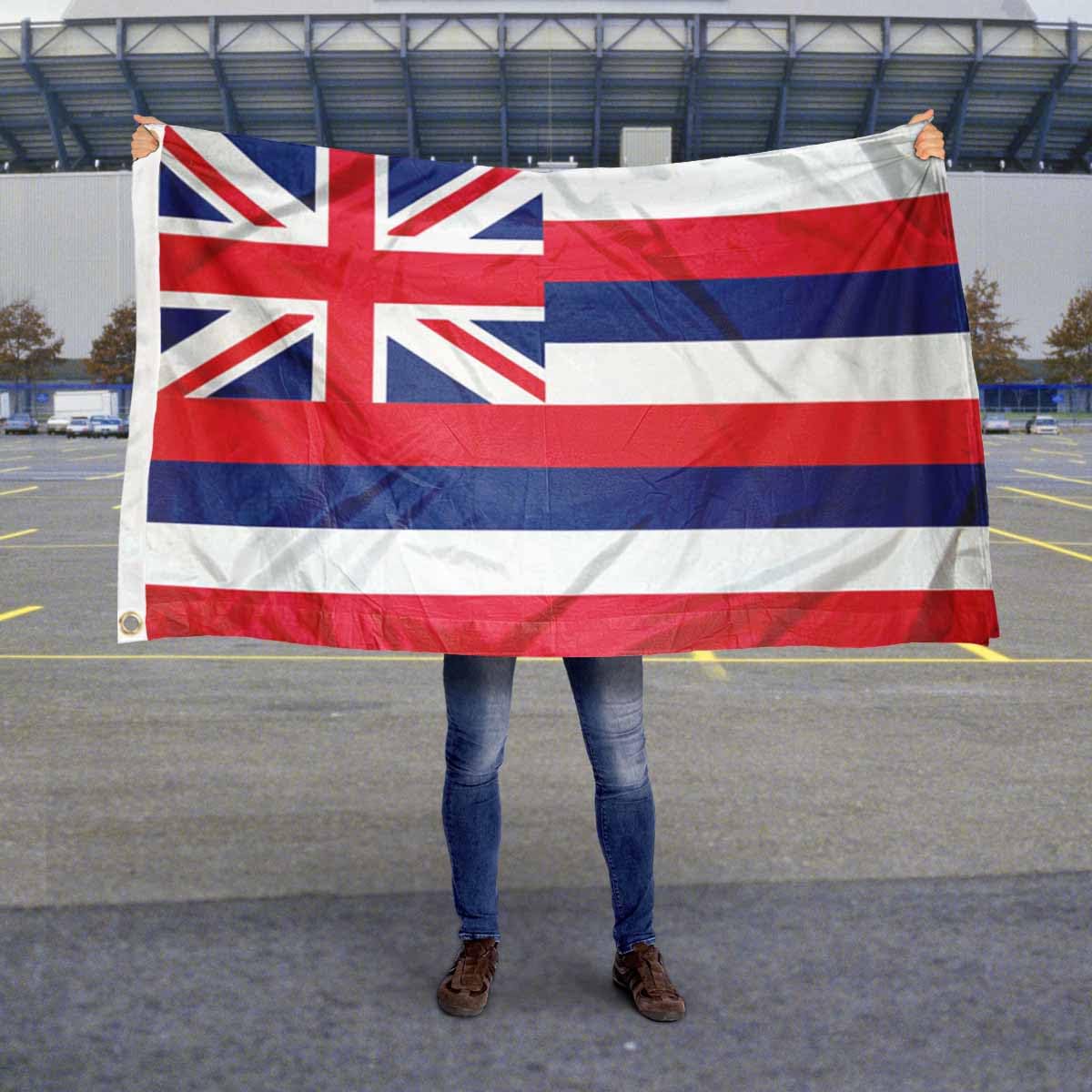 Sports Flags Pennants Company State of Hawaii Flag 3x5 Foot Banner - Sports Collectibles, Sports Memorabilia, Sports Fan Shop, Sports Gifts