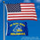 College Flags & Banners Co. Delaware Blue Hens 2x3 Foot Flag - Sports Collectibles, Sports Memorabilia, Sports Fan Shop, Sports Gifts
