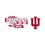 Rico Industries NCAA Indiana Hoosiers 2026 Football National Champions 16-oz Can Shaped Glass - Sports Gifts, Sports Memorabilia, Sports Collectibles, Fan Shop