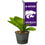 College Flags & Banners Co. Kansas State Wildcats Mini Garden and Flower Pot Flag Topper - Sports Gifts, Sports Memorabilia, Sports Collectibles, Fan Shop