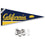 College Flags & Banners Co. Cal Berkeley Golden Bears Pennant Flag and Wall Tack Mount Pads - Sports Collectibles, Sports Memorabilia, Sports Fan Shop, Sports Gifts