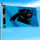 WinCraft Carolina Panthers Printed Header 3x5 Foot Banner Flag - Sports Collectibles, Sports Memorabilia, Sports Fan Shop, Sports Gifts