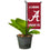 College Flags & Banners Co. Alabama Crimson Tide Mini Garden and Flower Pot Flag Topper - Sports Collectibles, Sports Memorabilia, Sports Fan Shop, Sports Gifts