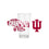 Rico Industries NCAA Indiana Hoosiers 2026 Football National Champions 16 oz Pint Glasses with Digitally Printed Logo, Classic Drinking Glass - Great for Every Day Use - Sports Gifts, Sports Memorabilia, Sports Collectibles, Fan Shop