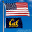 Cal Berkeley Golden Bears Small 2x3 Foot Flag - Sports Collectibles, Sports Memorabilia, Sports Fan Shop, Sports Gifts
