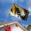 College Flags & Banners Co. Missouri Tigers Bold Flag and USA 3x5 Set - Sports Collectibles, Sports Memorabilia, Sports Fan Shop, Sports Gifts