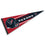 WinCraft Houston Texans Official 30 inch Large Pennant - Sports Collectibles, Sports Memorabilia, Sports Fan Shop, Sports Gifts