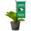 College Flags & Banners Co. North Dakota Fighting Hawks Mini Garden and Flower Pot Flag Topper - Sports Collectibles, Sports Memorabilia, Sports Fan Shop, Sports Gifts