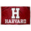 College Flags & Banners Co. Harvard Crimson Athletic Logo and USA 3x5 Flag Set - Sports Collectibles, Sports Memorabilia, Sports Fan Shop, Sports Gifts