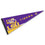 College Flags & Banners Co. Louisiana State LSU Tigers Full Size Eye Logo Pennant - Sports Collectibles, Sports Memorabilia, Sports Fan Shop, Sports Gifts