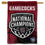 WinCraft South Carolina Gamecocks 2024 Womens Basketball National Champions Banner Vertical Flag - Sports Collectibles, Sports Memorabilia, Sports Fan Shop, Sports Gifts