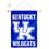 Kentucky Wildcats Banner for Windows Doors and Walls - Sports Collectibles, Sports Memorabilia, Sports Fan Shop, Sports Gifts