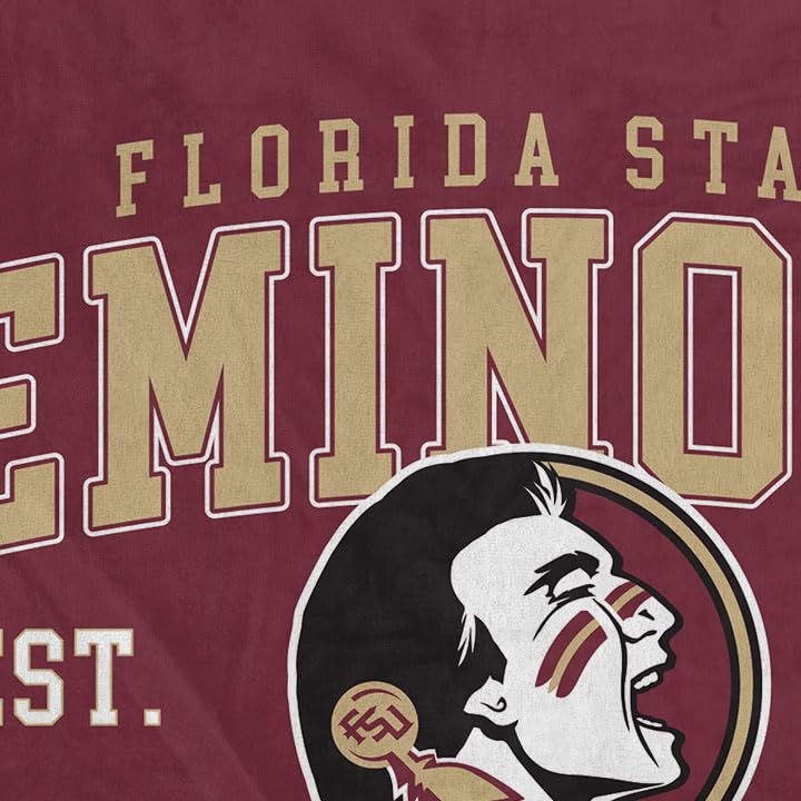 NCAA Florida State Seminoles Vintage Arch Block Ultra Soft Blanket - Sports Gifts, Sports Memorabilia, Sports Collectibles, Fan Shop
