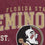 NCAA Florida State Seminoles Vintage Arch Block Ultra Soft Blanket - Sports Gifts, Sports Memorabilia, Sports Collectibles, Fan Shop