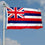 Sports Flags Pennants Company State of Hawaii Flag 3x5 Foot Banner - Sports Collectibles, Sports Memorabilia, Sports Fan Shop, Sports Gifts