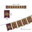 Texas State Bobcats Banner String Pennant Flags - Sports Collectibles, Sports Memorabilia, Sports Fan Shop, Sports Gifts