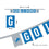 WinCraft Detroit Lions Banner String Pennant Flags - Sports Collectibles, Sports Memorabilia, Sports Fan Shop, Sports Gifts