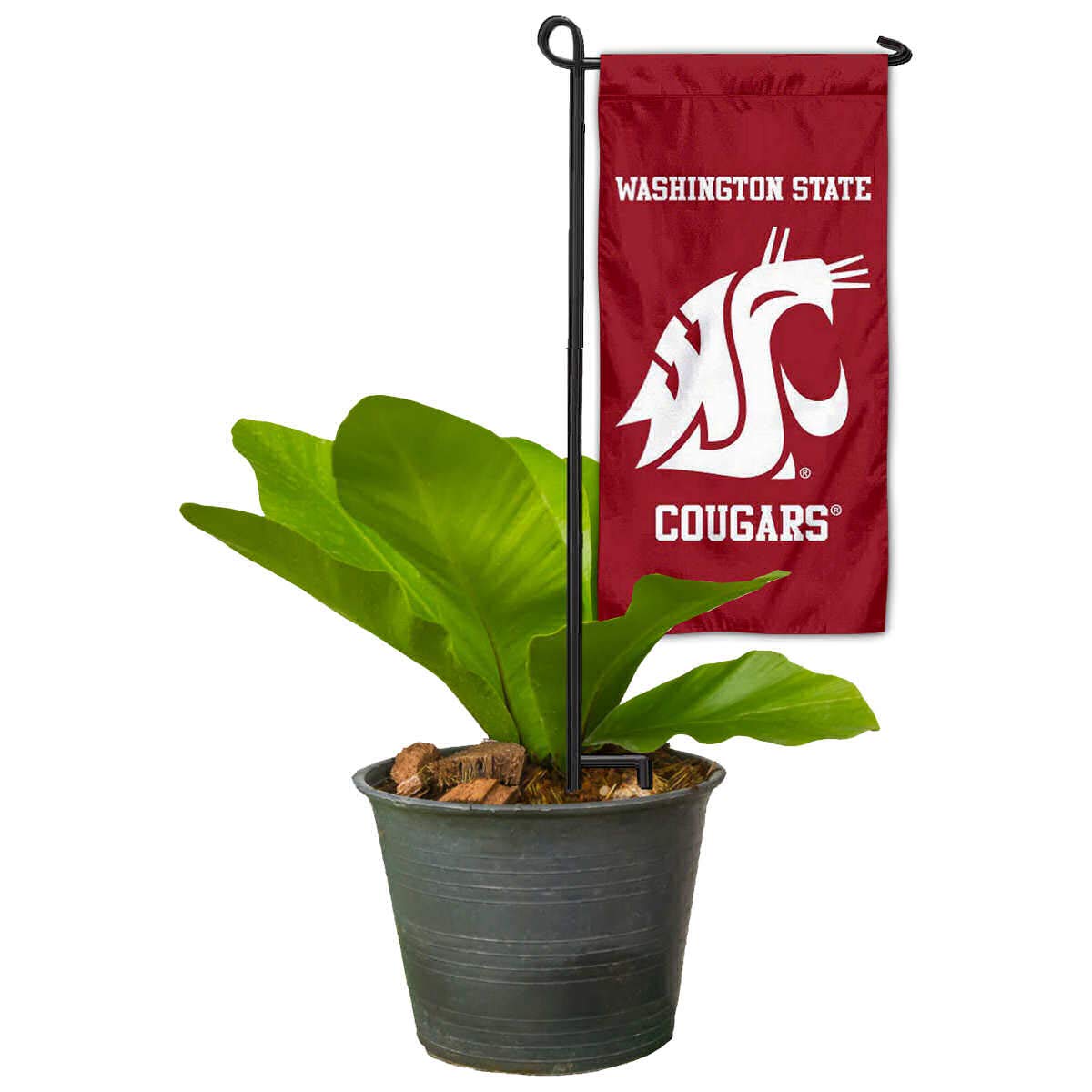 College Flags & Banners Co. Washington State Cougars Mini Garden and Flower Pot Flag Topper - Sports Collectibles, Sports Memorabilia, Sports Fan Shop, Sports Gifts