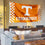 Tennessee Volunteers Checkerboard Large Grommet Banner Flag - Sports Collectibles, Sports Memorabilia, Sports Fan Shop, Sports Gifts