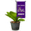 College Flags & Banners Co. James Madison Dukes Mini Garden and Flower Pot Flag Topper - Sports Collectibles, Sports Memorabilia, Sports Fan Shop, Sports Gifts