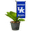 College Flags & Banners Co. Kentucky Wildcats Mini Garden and Flower Pot Flag Topper - Sports Collectibles, Sports Memorabilia, Sports Fan Shop, Sports Gifts