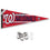 Washington Nationals Pennant Banner and Wall Tack Pads - Sports Collectibles, Sports Memorabilia, Sports Fan Shop, Sports Gifts