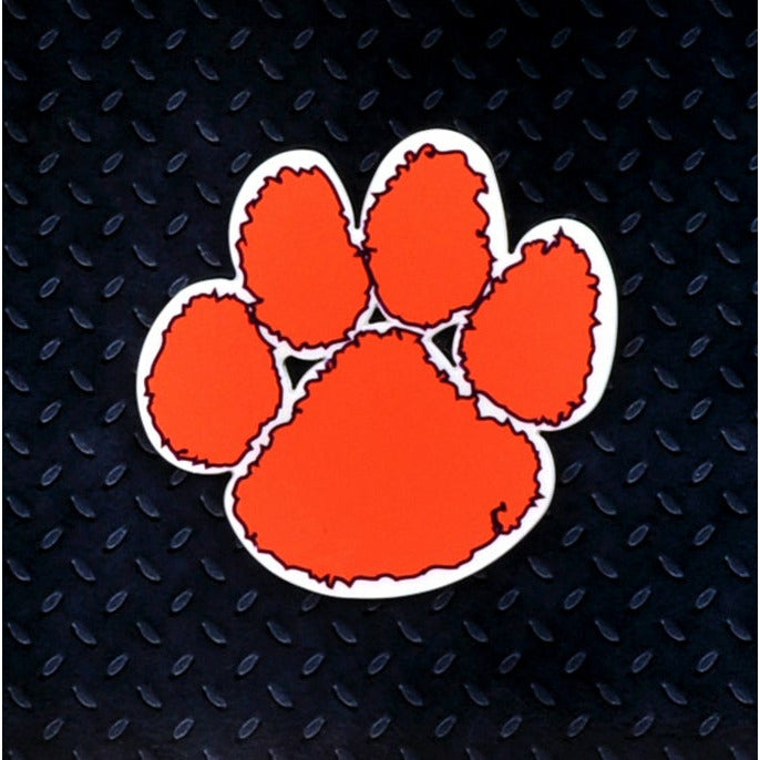 Clemson Tigers Steel Super Magnet