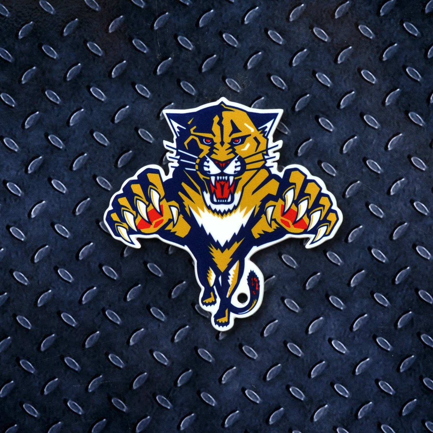 Florida Panthers Steel Super Magnet