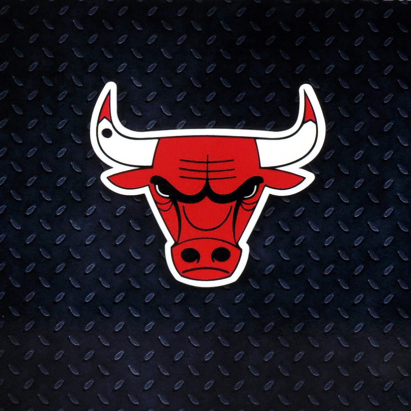 Chicago Bulls Steel Super Magnet